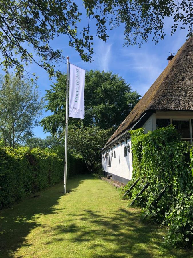 Hoeve Te Gast - Vakantieboerderij 赫鲁特 外观 照片